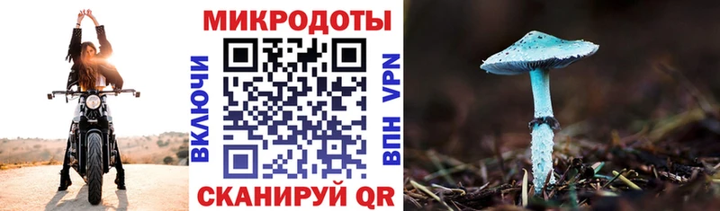 где можно купить   Буинск  Галлюциногенные грибы прущие грибы 